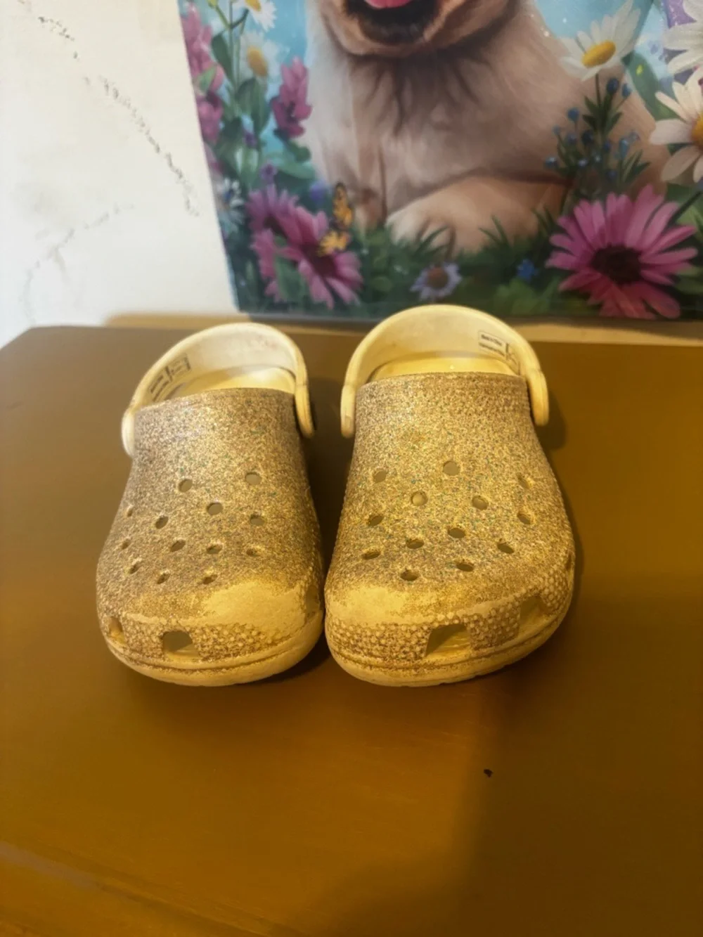 CROCS Kids Glitter Clogs in Silver